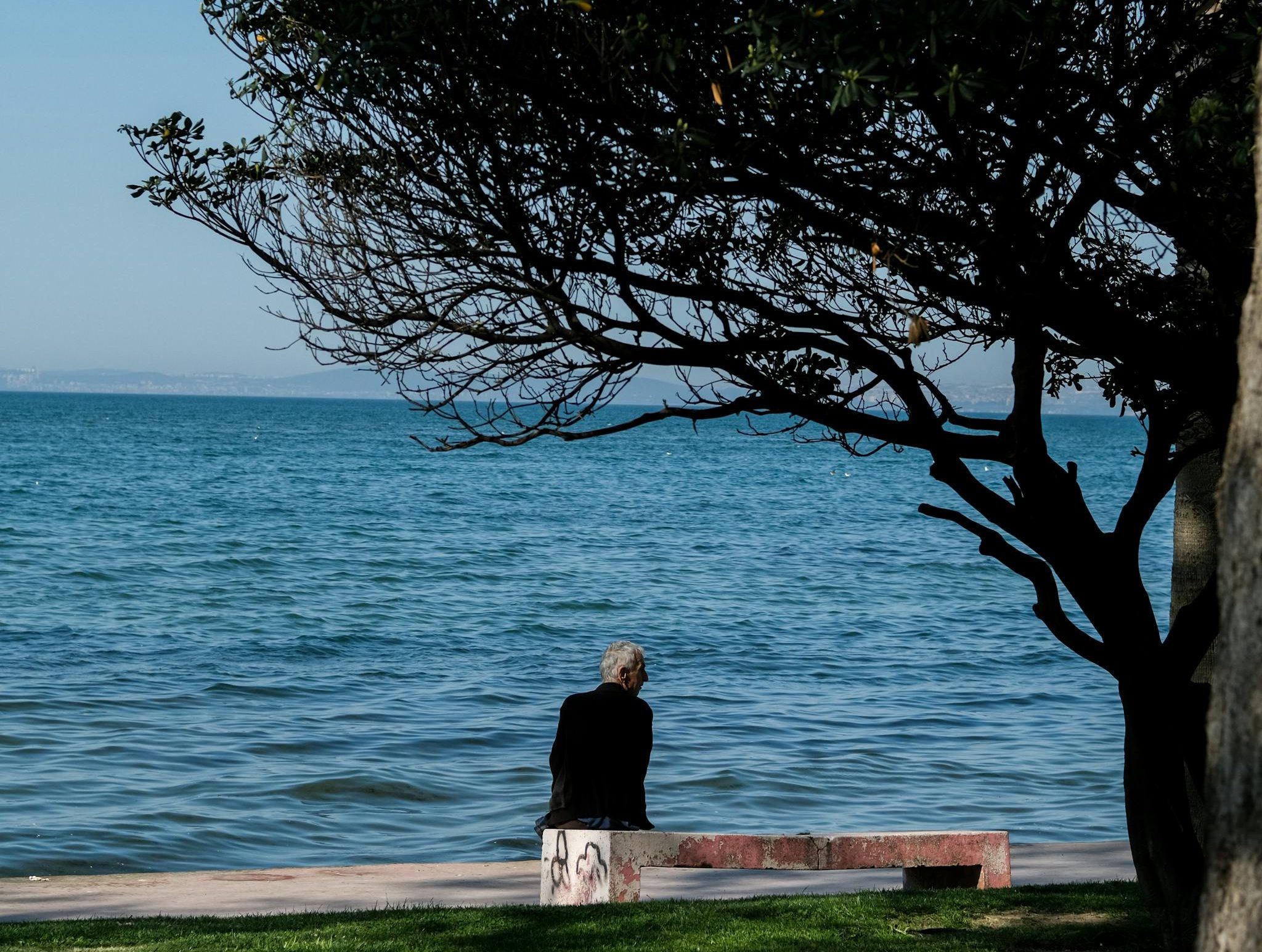 A person sits alone by the Marmara Sea in Yalova, Türkiye, under a tree.
